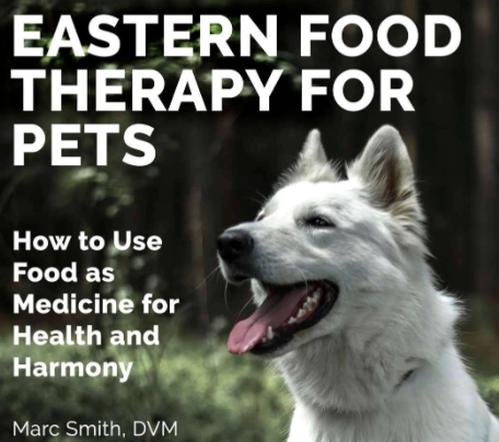 NatchezVet's tweet photo. FREE DOWNLOAD
Eastern Food Therapy for Pets
Learn from Nashville Veterinarian Dr. Marc Smith how to use food as medicine for your pet's health and harmony.
https://t.co/WxD8DhG5e6

#healthypet #dogsofnashville #easternmedicine #TCVM #love #happy https://t.co/WpC9GxtzIF