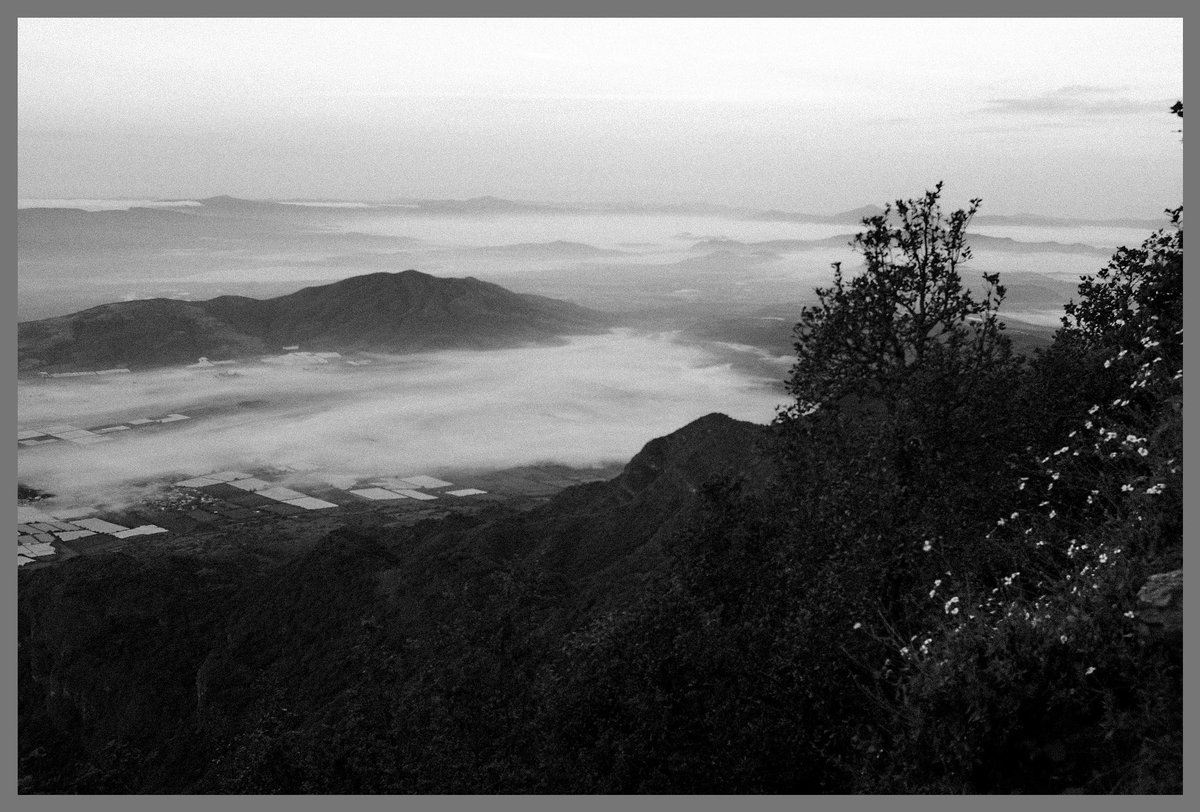 ThisIsAdelfo's tweet photo. @Lightroom All edited in snapseed…. JK Lightroom 4life https://t.co/EBxefVvOAk
