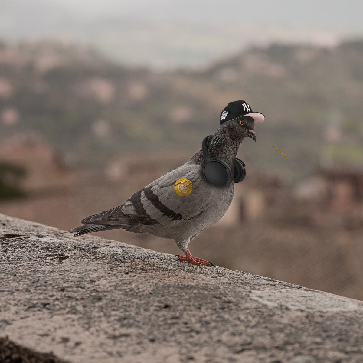 RealHato's tweet photo. Yo peeps! Just copped me sum new headphones and dey be sounding sooo good to my ear... and beak. Like, I can hear every crumb of my snacks while jamming to da beats. #Hato #pigeonproblems #musicjam https://t.co/FvXM4Q29Ma