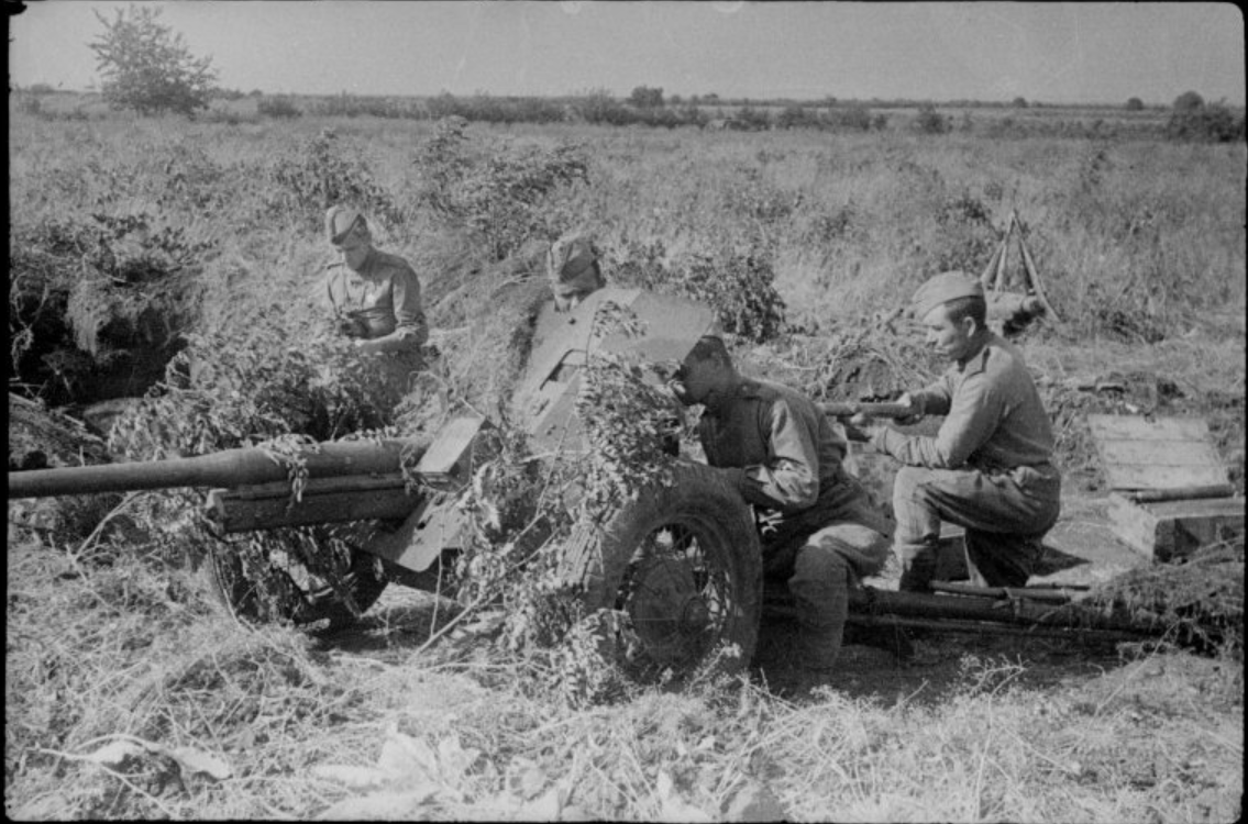 Mm Anti Tank Gun Ww Red Army Anti Tank Gun Soviet Anti Tank Gun My