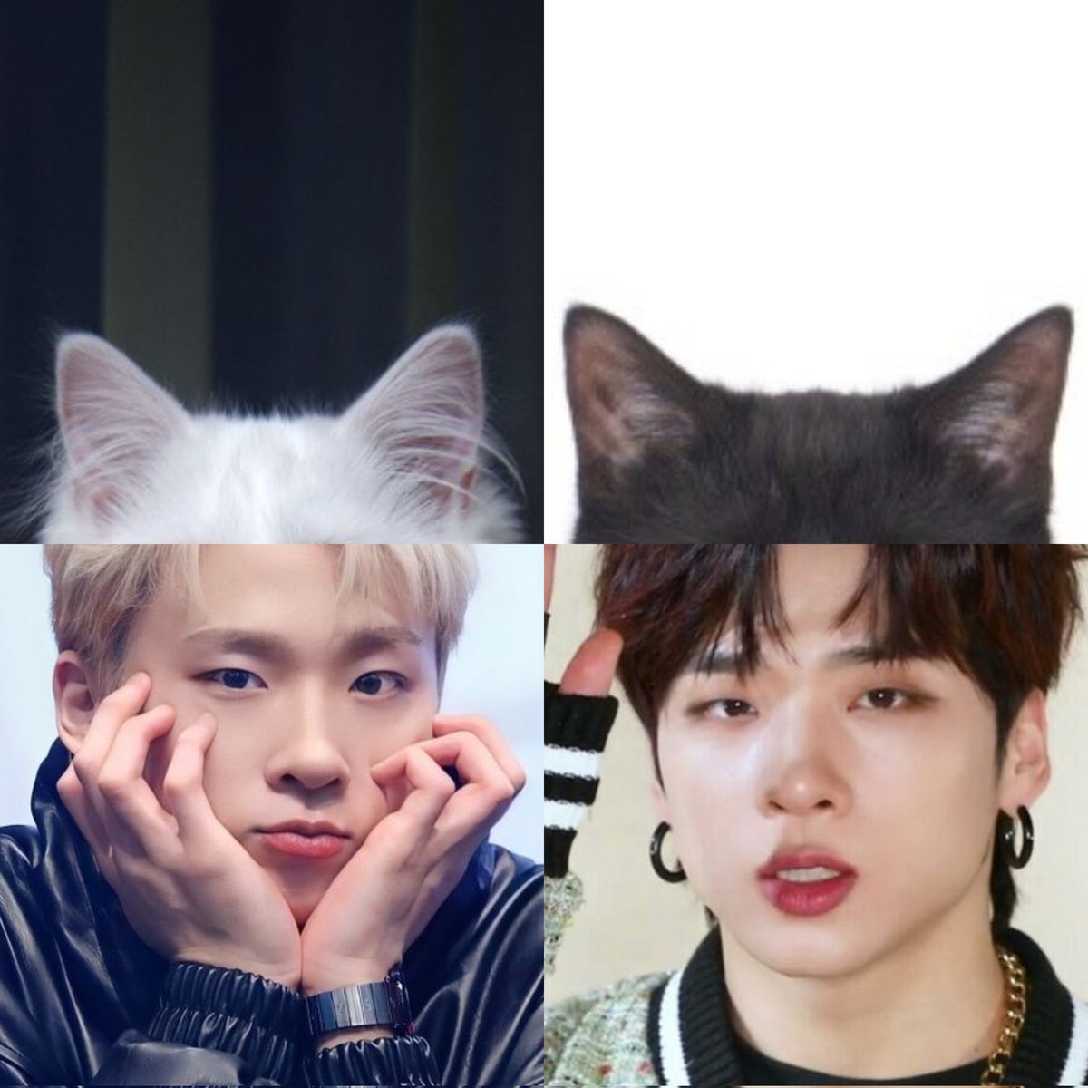 bicsbiceps's tweet photo. Castle J aka CATsel J 
A thread 🧵
#MCND #엠씨엔디 @McndOfficial_ https://t.co/Nx39oNge2Y