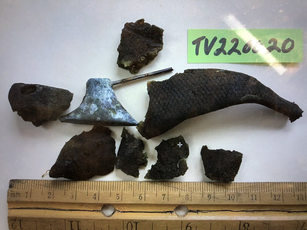 Hey, #microplastic folks! How would you characterize/quantify these plastic particles? Fiber bundles? This common loon was found beached in coastal RI, died in rehab facility next day. Fishing jig containing lead found in proventriculus on necropsy.