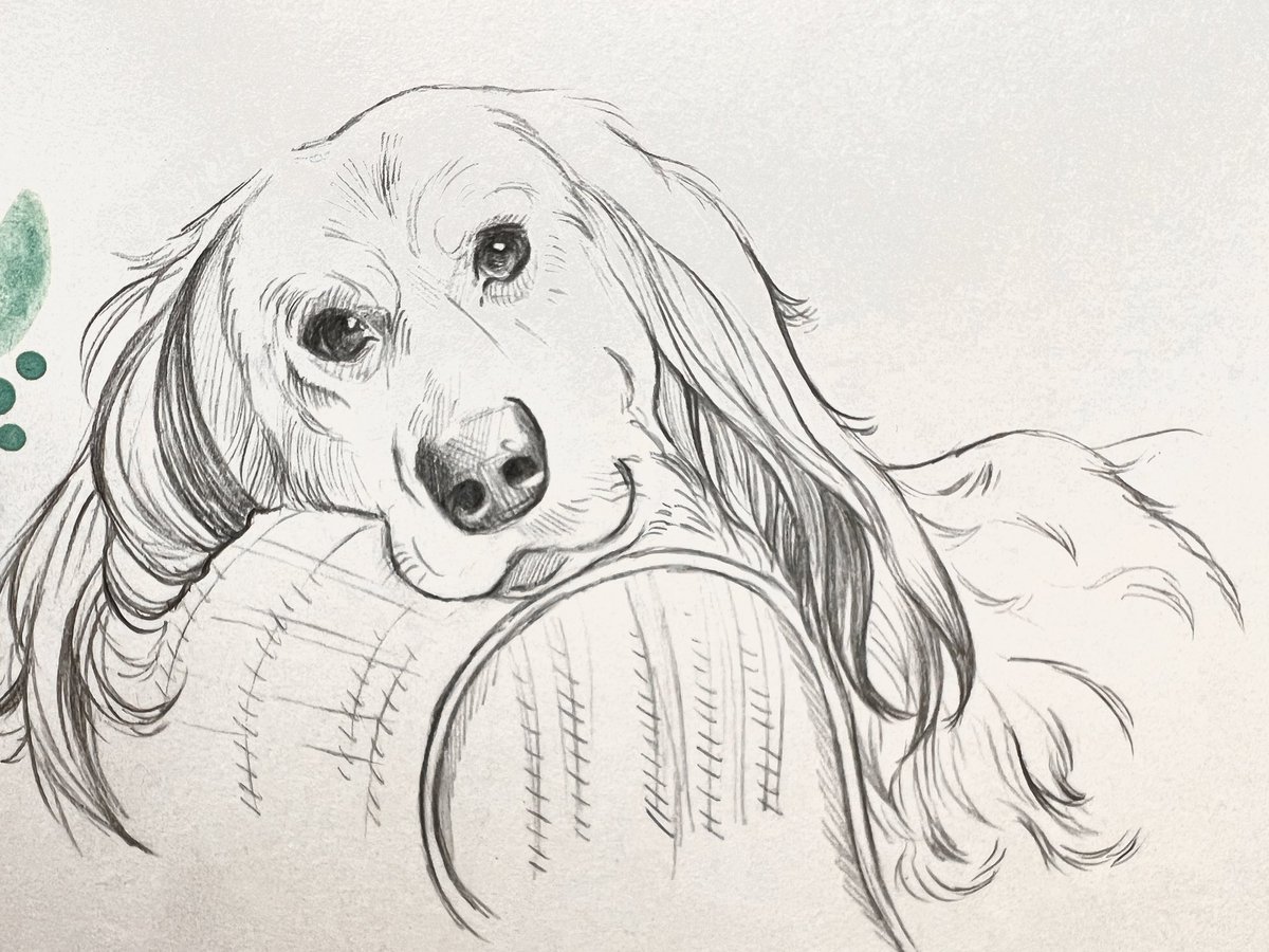 gingybeer's tweet image. This is what you get for posting cute doggos in my discord!!! Henry was such a cutie to draw. A beautiful boy for the first page of the new sketchbook 💜 @sshteeve #sketch #moleskine #twitch