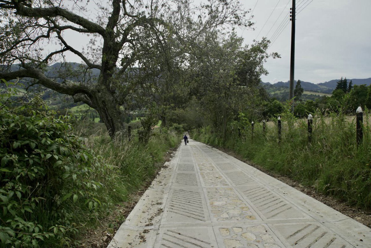 CundinamarcaGob's tweet photo. #EntregamosProgreso | En Subachoque entregamos mejoramiento de la vía que conduce del casco urbano a la vereda Cascajal, sector entrada 35, con una importante inversión de $100 millones en convenio con el @ICCUGOB y ejecutado por el municipio.👏🏼 #RegiónQueProgresa https://t.co/iSJZb8ztw3