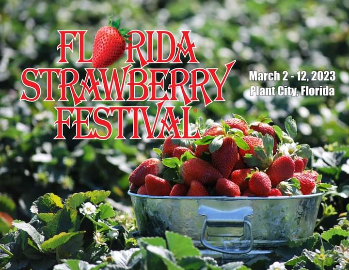 Joining Our Traffic Team Radio Network : The Florida Strawberry Festival 2023 March 2 thru the 12th, with headline entertainment, arts and craft, rides, food and of course Plant city’s world famous strawberry shortcake. a sweet time for the whole family! flstrawberryfestival.com