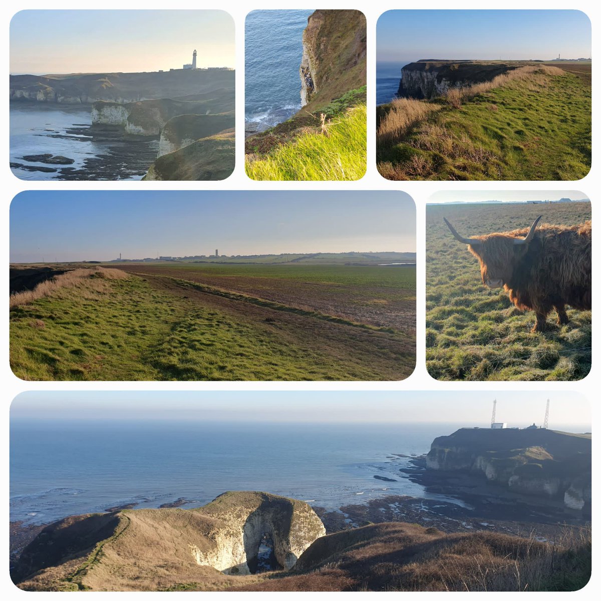 WMount's tweet photo. Check out Mrs Clough’s journeys in January! As Jenny’s PA she used to hear all of Jenny’s walking stories so it’s lovely to hear how she is spending retirement. She’s been walking from Sewerby to Flamborough Lighthouse & then Flamborough Lighthouse to North Landing. #teamtemplar https://t.co/ffu1w7OfU7