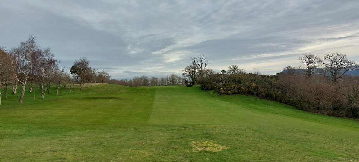Clwb Golff St.Deiniol Golf Club tweet media