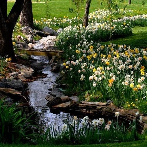 ~𝑫𝒆𝒋𝒆𝒏𝒎𝒆 𝒔𝒆𝒓 𝒔𝒖 𝒑𝒂𝒅𝒓𝒆.ʕ•⁠ᴥ⁠•⁠ʔ
#rubckity

Rvbius es un papá soltero que se muda a una nueva ciudad con sus hijos para buscar una nueva y tranquila vida. 
Qvackity se a enamorado perdidamente de él, pero los hijos de Rub no son nada fácil de ganar.