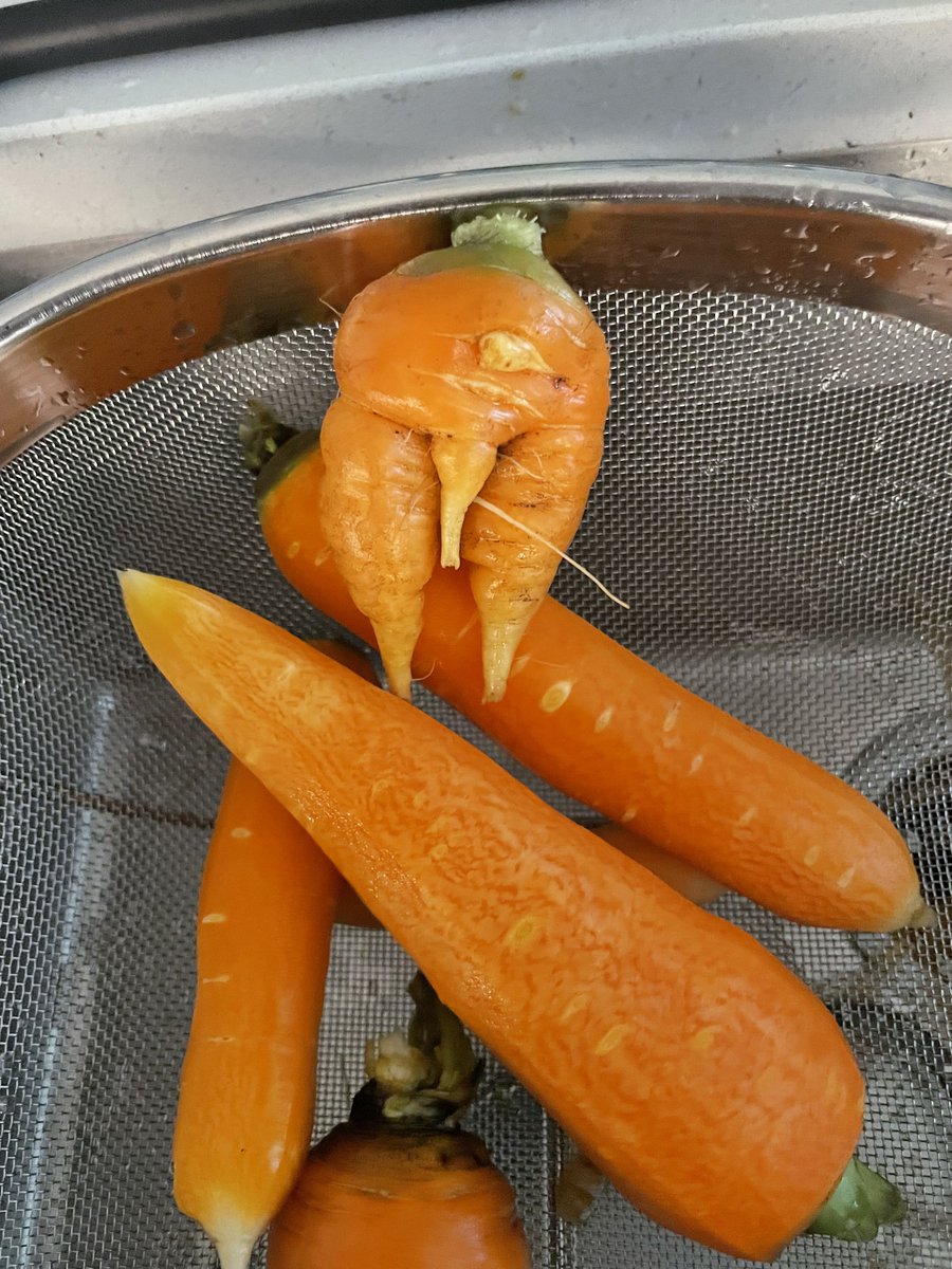 crawfishpapi's tweet photo. This carrot is inappropriate https://t.co/p4KtounPR9