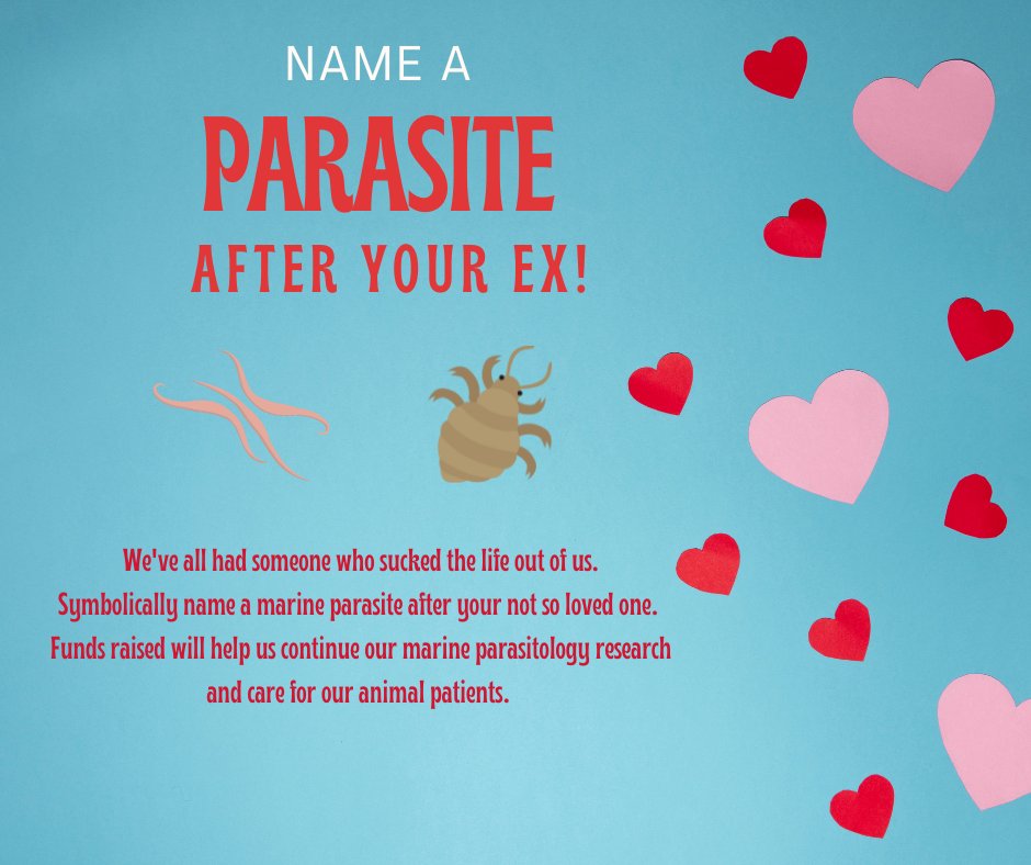 We have started our 'Name A Parasite After Your Ex' fundraiser early this year! You can symbolically name a parasite after an ex of yours. Visit our online store to purchase. nmlcma.itemorder.com/shop/home/