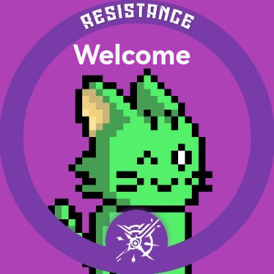 ElrondCFAM's tweet photo. Oh boy what a fur-midable news we got to share! The cats team is expanding rapidly! Today we welcome 
@0xValentinus
 as a core member... This young kitten is earning his paws as a web3 developer and is an experienced Discord moderator. Join our Discord https://t.co/kHRCanpcDA 🐱 https://t.co/2A7PMyuDDI