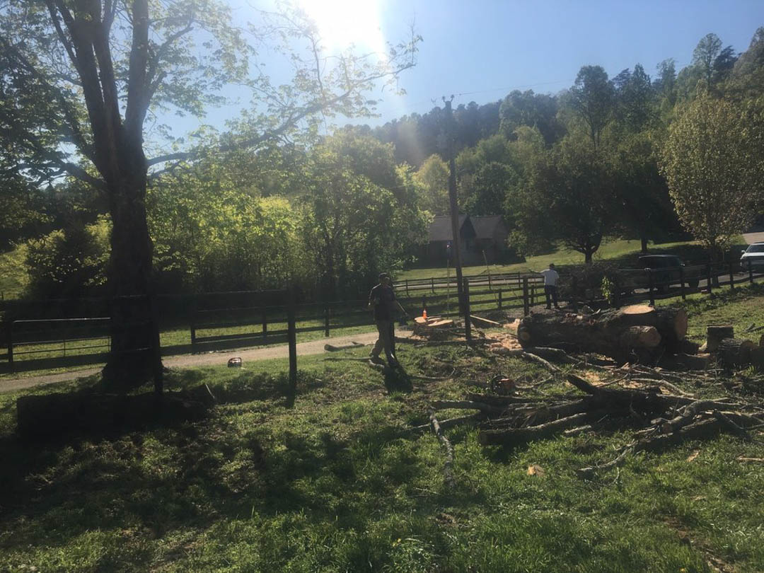 ThomassTreeServ's tweet image. You can trust the team at Thomas's Tree Services to handle any of your Tree Removal needs. We pride ourselves on building friendly and professional relationships with all of our clients. Call us today to learn more about our Tree Removal services at (865) 413-7173 #TreeRemova ...