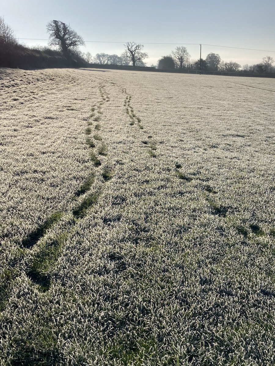 A wonderful WALK AND TALK this morning with a wonderful client who prefers to call what we do as A CHAT WITH MATT. 

🐘🥶❄️🥶🐘

#talkingtherapy #sharing #coddiwomple #frostytoes #invigorating #outdooreducation