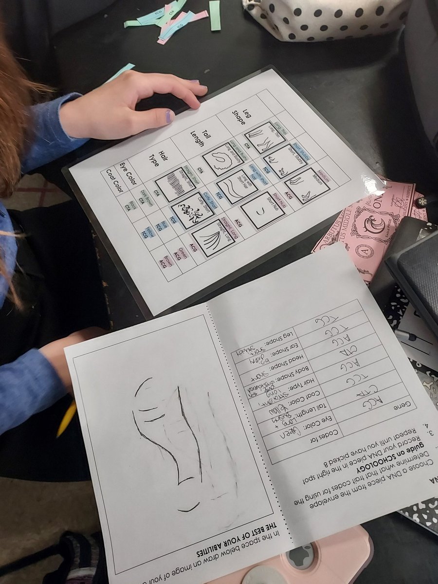 AliceBucknerSci's tweet photo. How do genes influence traits? Ss @ArbutusMS randomly selected genes to create dogs to compare their traits. @BCPSSci https://t.co/rAtr0ILUQG