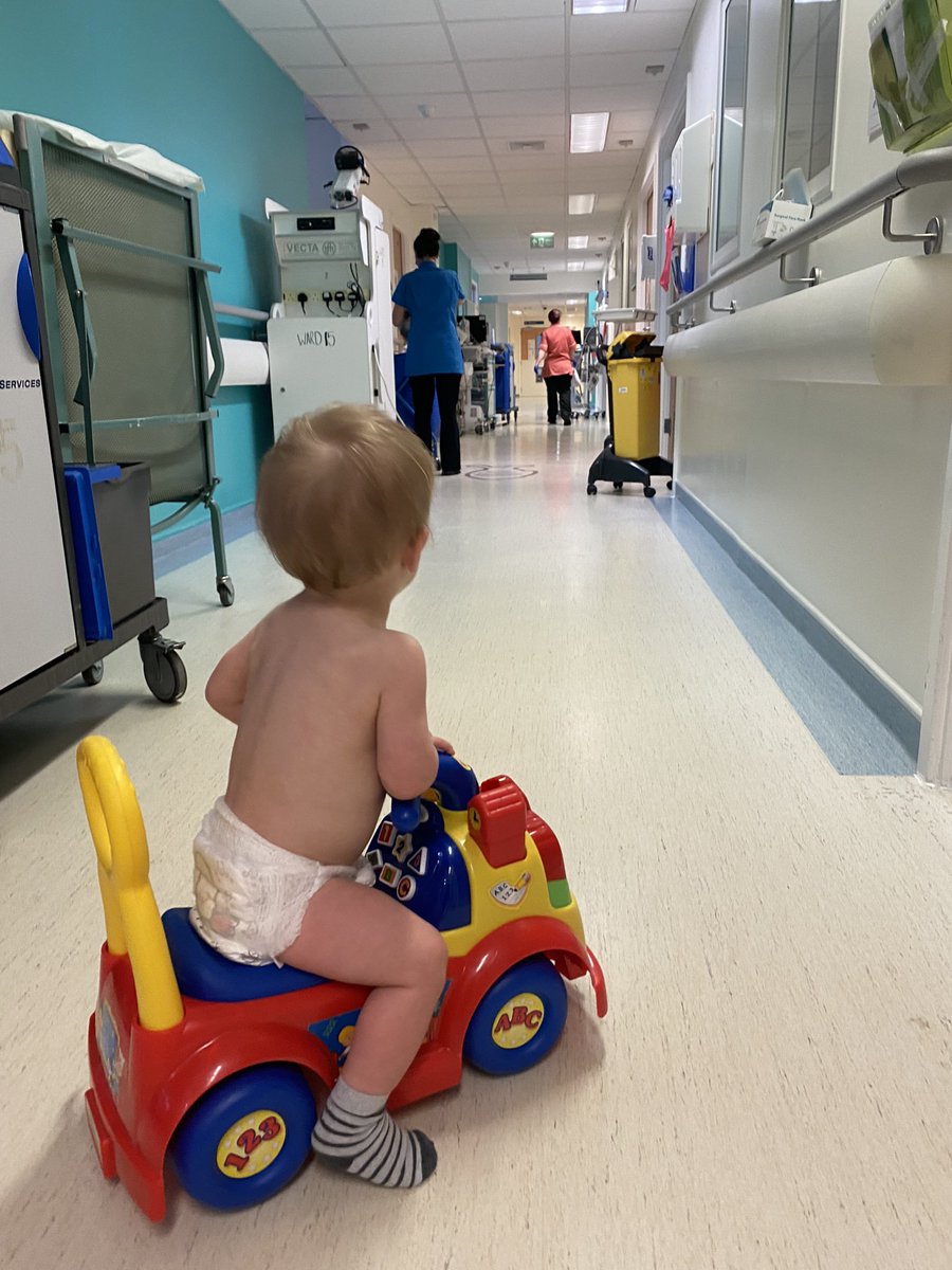 Robert Spencer (@rob_spen_cer) on Twitter photo Despite the wonderful care Joey has finally built up the strength to escape after 4 long days! Big thank you you the fantastic staff on ward 15. <a href="/nhsuhcw/">UHCW NHS Trust</a> <a href="/LauraB2907/">Laura Brough</a>. Despite the wonderful care Joey has finally built up the strength to escape after 4 long days! Big thank you you the fantastic staff on ward 15. <a href="/nhsuhcw/">UHCW NHS Trust</a> <a href="/LauraB2907/">Laura Brough</a>.