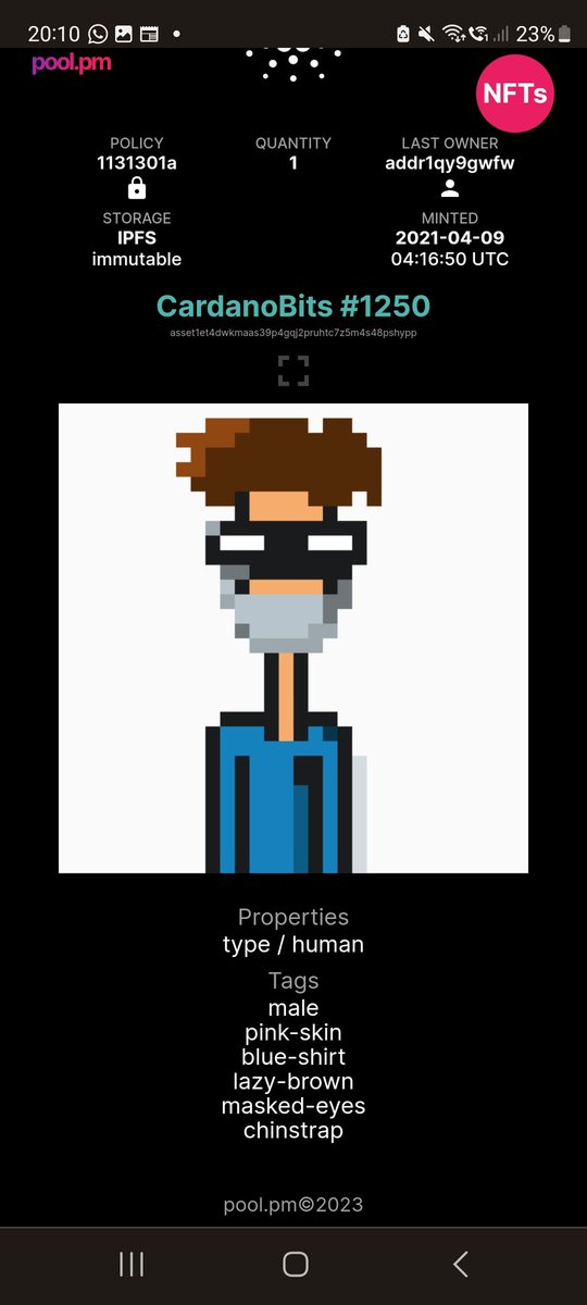 1survivalartist's tweet image. Thanks to my friends at @CbitArmy discord I was able to participate in a #giveaway and got this Master piece of #CNFThistory
Now I just need the fitting feets to it @CardanoBits any Suggestions which could fit?
#cbit #cbitarmy 😎🤝come and join there discord full of cool people