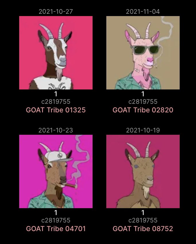 _taste32's tweet photo. @BigDrew369 @adaGOATS #GOATS #ADAGOATS #QUAD #CARDANO #CNFT #CARDANOCOMMUNITY #NFT #BLOCKCHAIN got $grass? https://t.co/8CURVWAnoO