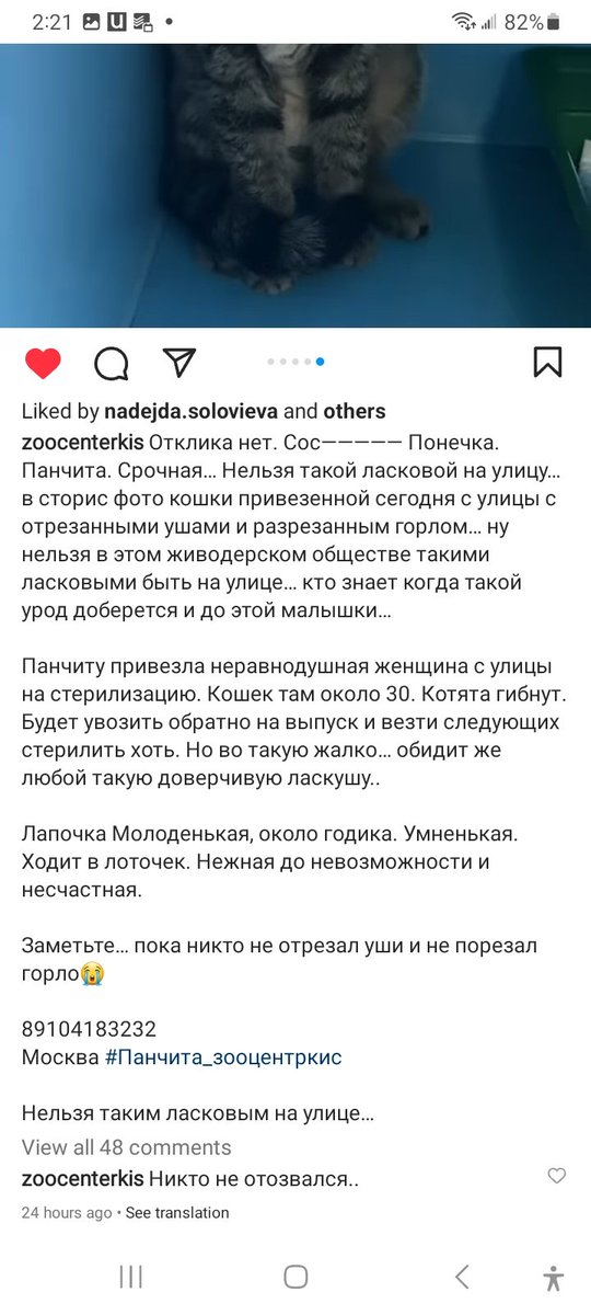 Ребят пожалуйста сделайте доброе дело, поретвитьте эту грустную котейку.
Ее пострерилили, но со дня на день возвращают на улицу. Ее глаза мне сердце рвут😭

Москва