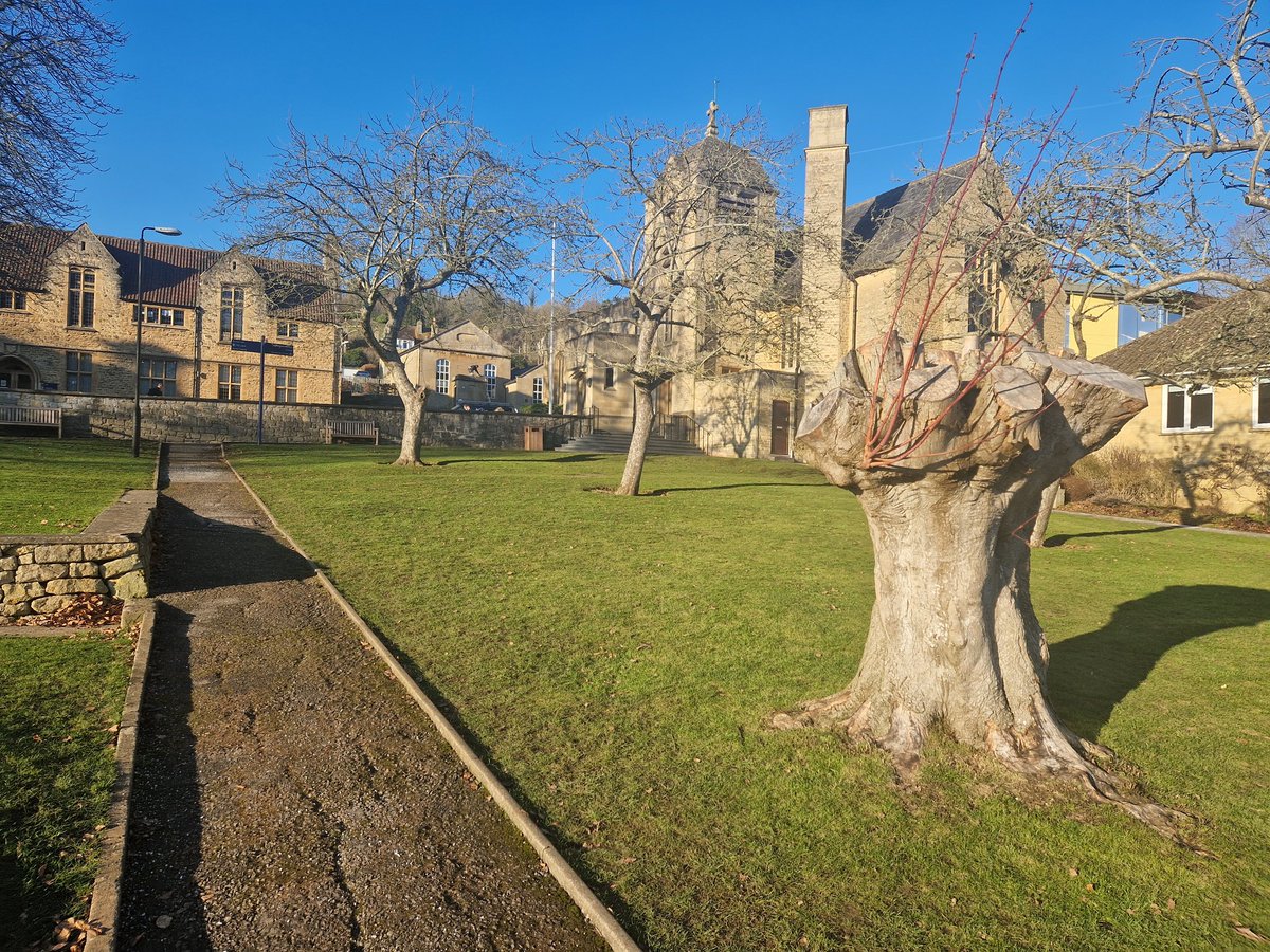 William Goldsmith tweet media