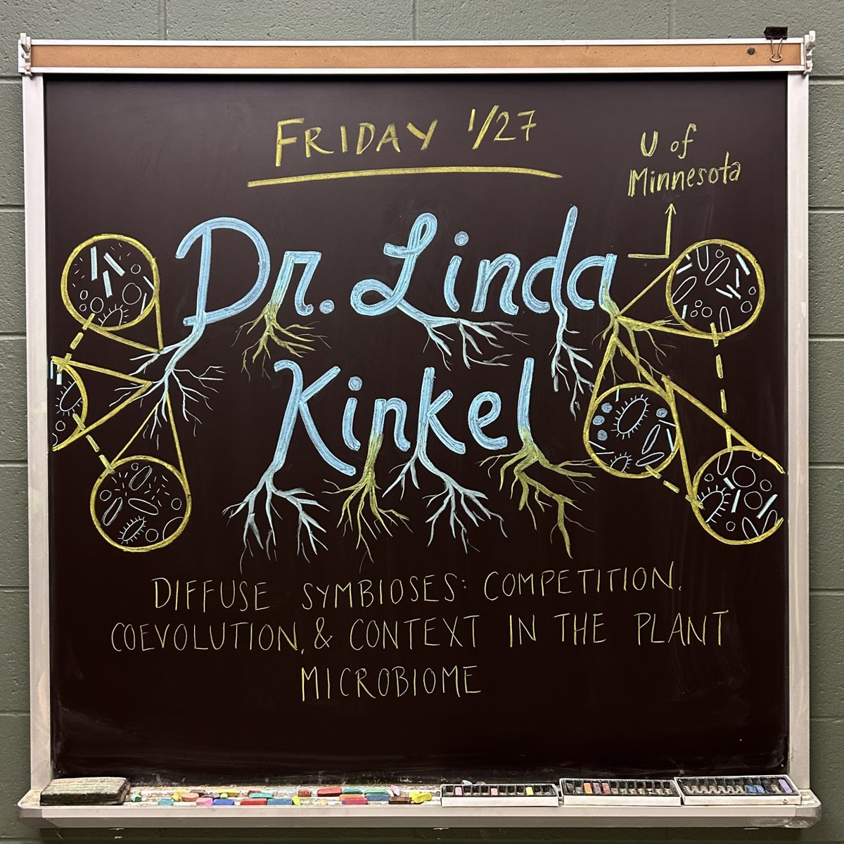 KBSchalkboard's tweet image. Dr. Linda Kinkel of @UMNPlantPath kicks off our 2023 seminars with a talk on plant-associated microbes and their interactions in prairie and ag systems! #MSUKBS #SciArt