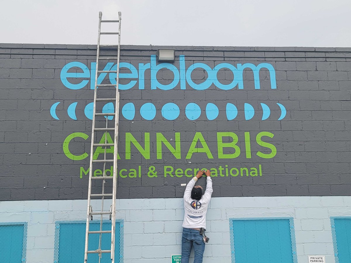 CoPaintExperts's tweet image. Can you guess how many projects we completed in 2022?....252!
#paintingprojects #commercialpainters #housepainters