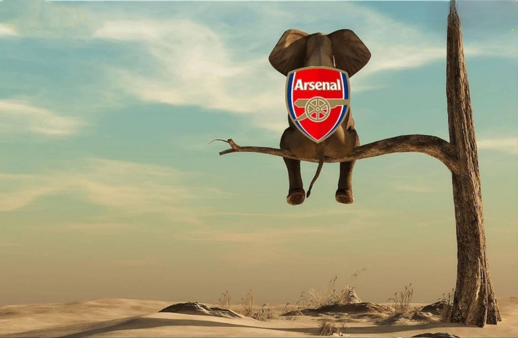 NickyambotoX's tweet image. Arsenal on top of the league table is like an Elephant on top of a tree, nobody knows how it got there but everybody knows it will fall down.😅💀