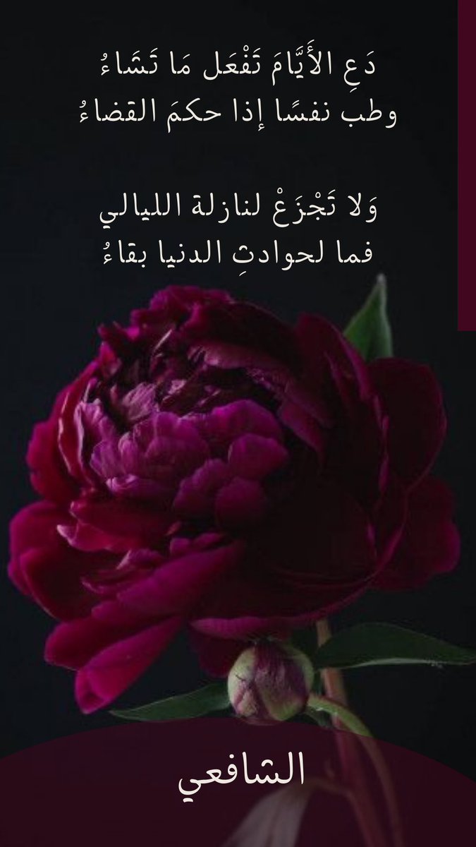 NBaitalmal's tweet photo. https://t.co/TdN43AjEDI