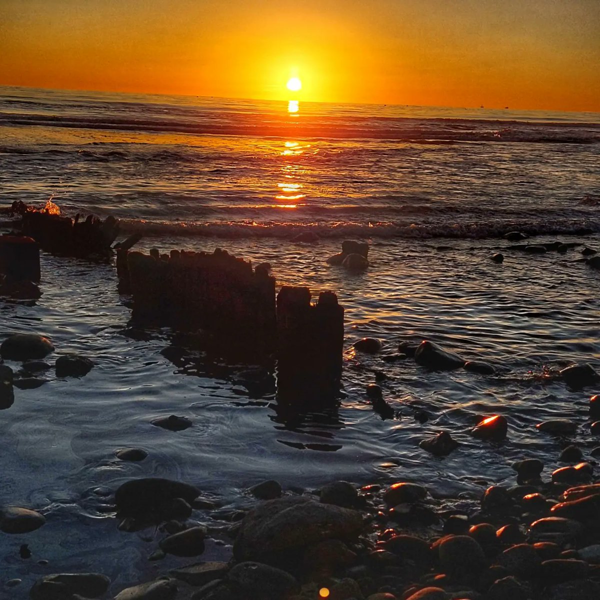 SaBriMMsb3's tweet photo. Sunset at Haskell's Beach, Goleta, CA #sabrinafairphotos #haskellsbeach #goletathegoodland #sunset #californiasunsets #winterincalifornia https://t.co/KOQqme2ynY