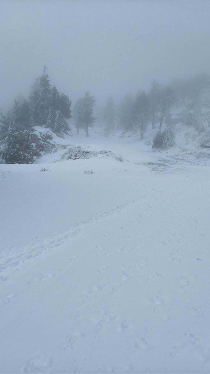 662STER's tweet image. This path would takes you to the #DevilsBackbone so be very careful when you #Hike around this area, its dangerous!

#MotherNature
#Landscape
#Adventure
#Mountain
#Explore
#Nature
#Hiking
#Winter 
#Snow
