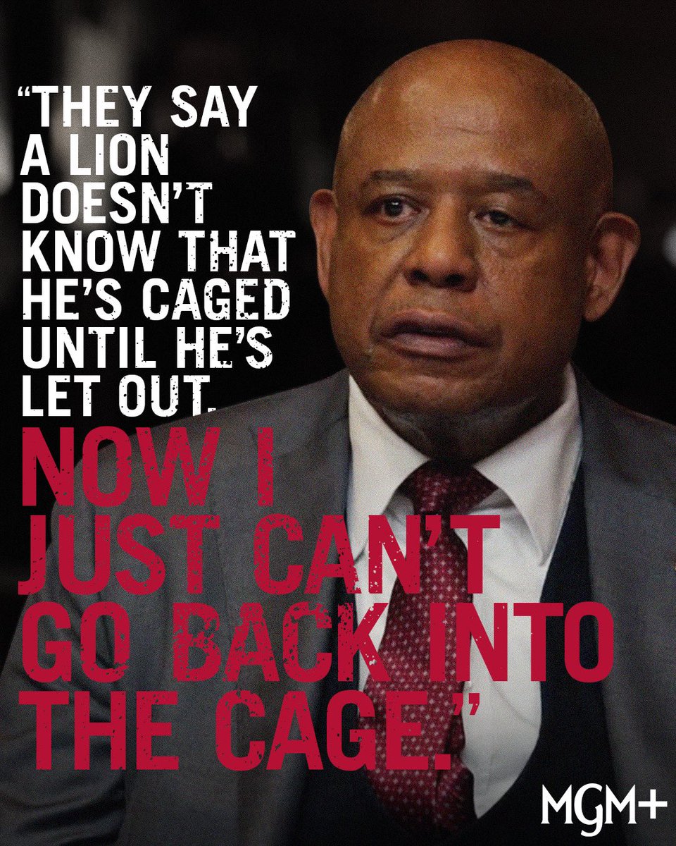 GodfatherHarlem's tweet photo. The #GodfatherofHarlem doesn’t mince words, matter of fact he’ll chop you up with them. #MGMPlus https://t.co/3Wh4ROXwlY