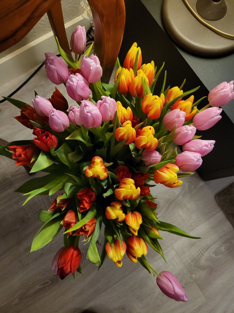 Afgelopen zaterdag was ik jarig kreeg van mijn ouders deze bos tulpen,  ze staan zo mooi inmiddels,  puur genieten 💐🌷⚘️🌷⚘️❤️🥰#jarig #tulpen