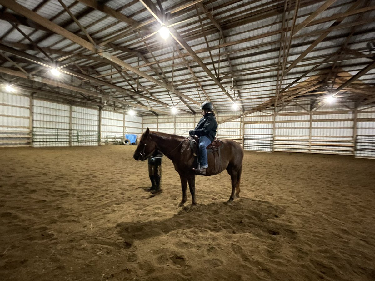 adelash15's tweet photo. She’s serious in this photo, but she was all smiles during her first horseback riding lesson. https://t.co/3quQJM3wTt