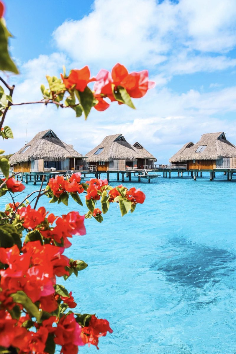 Bora Bora .. so nice, they named it twice 😍 #borabora
