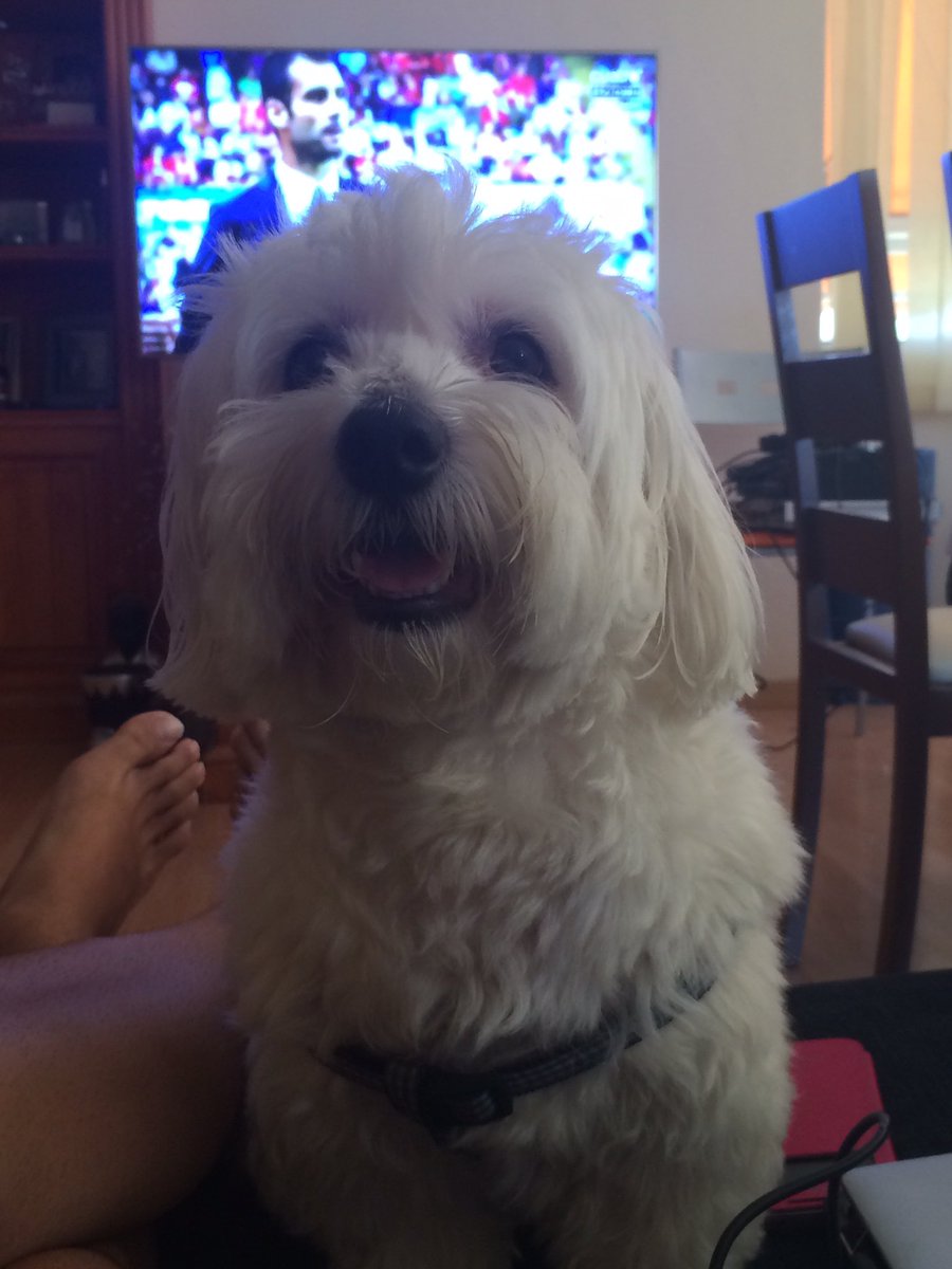 SergioMeidrid10's tweet image. Espero haber estado a tu altura todos estos años cariño mio, te querré y te llevaré siempre en mi corazón, mil gracias por crecer conmigo.