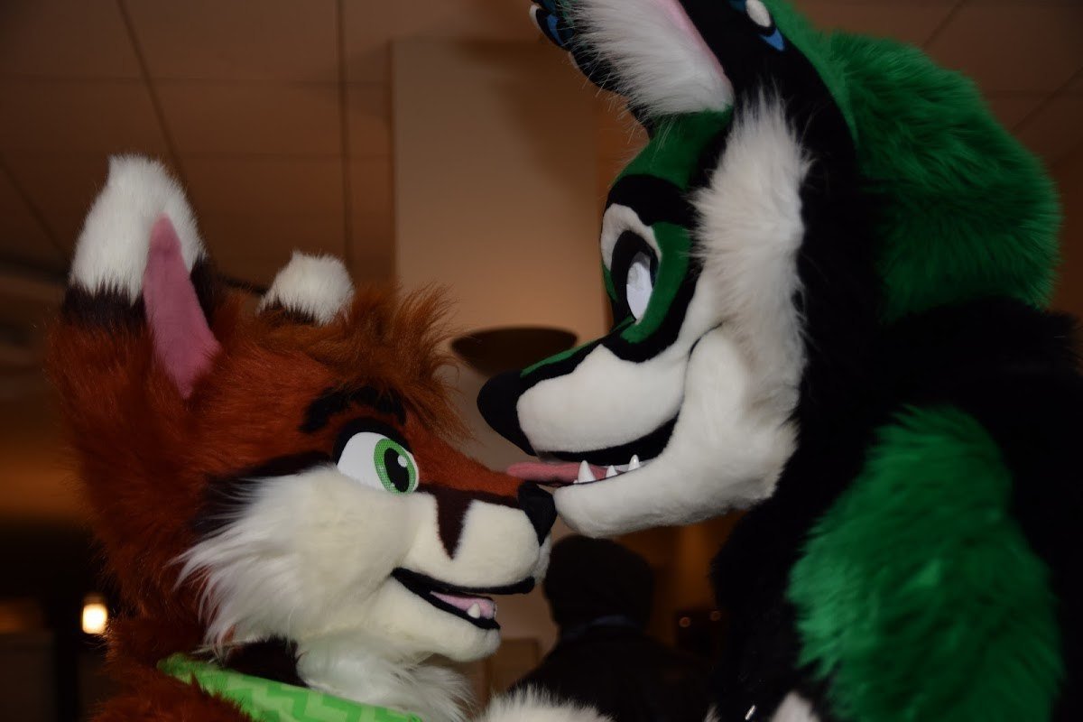 Luca The Fox tweet media