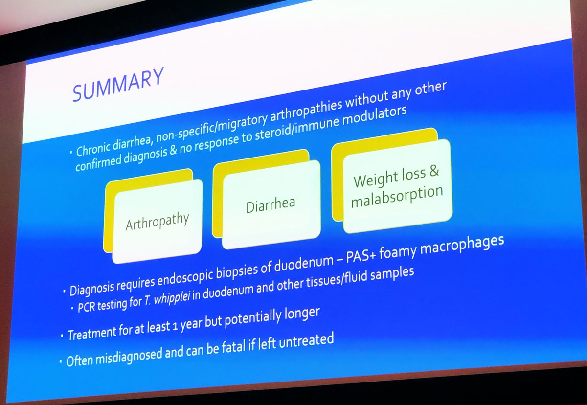 BSWH Temple Infectious Disease tweet media