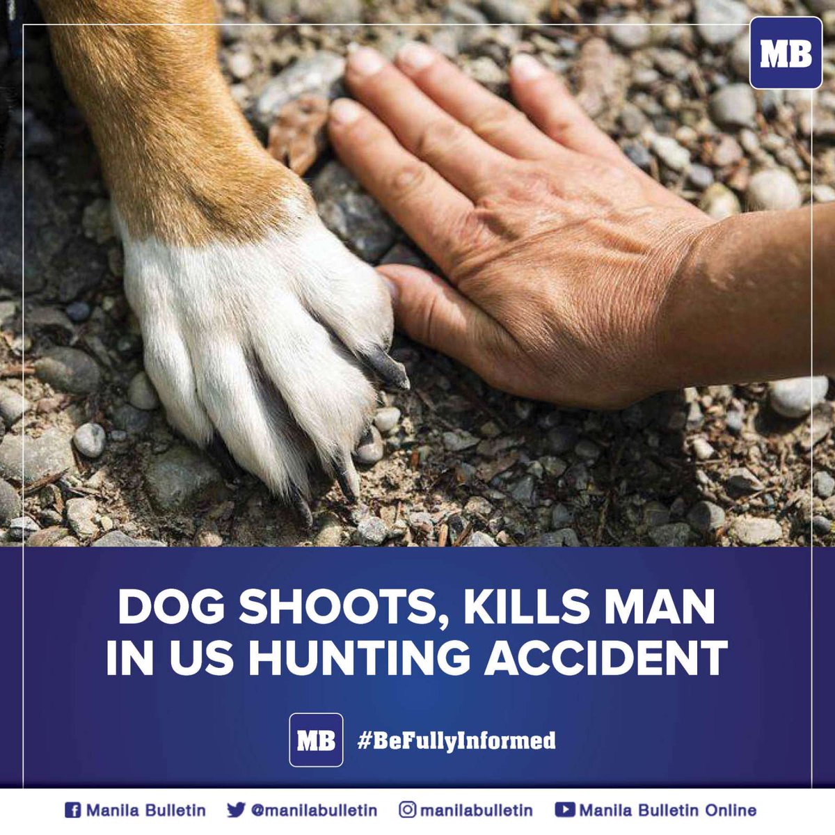 Manila Bulletin News on Twitter "A dog shot and killed a man in the