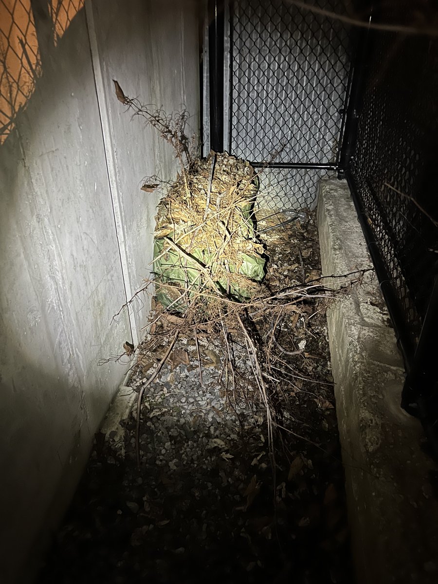 EM1T_'s tweet photo. 2 more emergency cold weather stray cat shelters deployed 🖤 🐈‍⬛ be kind out there https://t.co/VEZ6Llzw4z