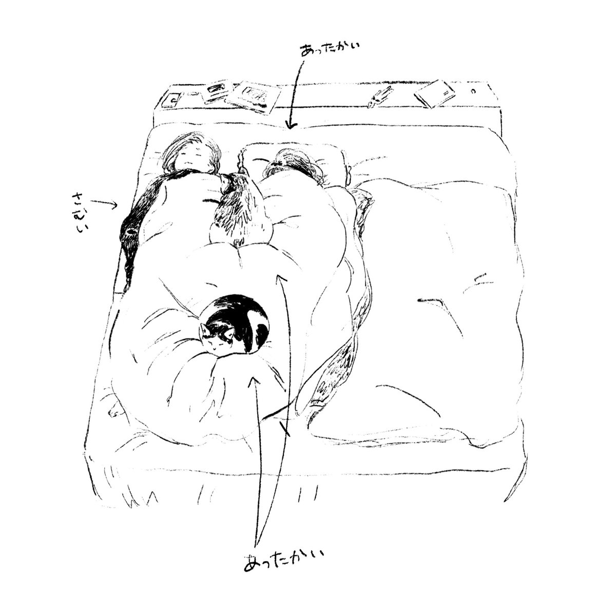 子も猫も、みんな私を湯たんぽがわりに集まってくる。当の湯たんぽは布団の隅に追いやられて毎晩はみ出している。ベッドの半分、空いてますよ。 