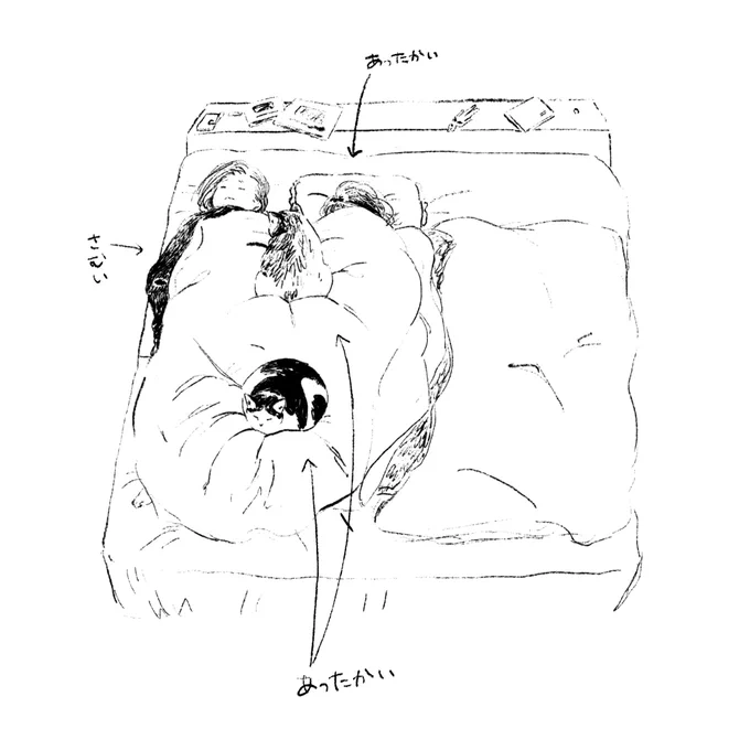子も猫も、みんな私を湯たんぽがわりに集まってくる。当の湯たんぽは布団の隅に追いやられて毎晩はみ出している。ベッドの半分、空いてますよ。 