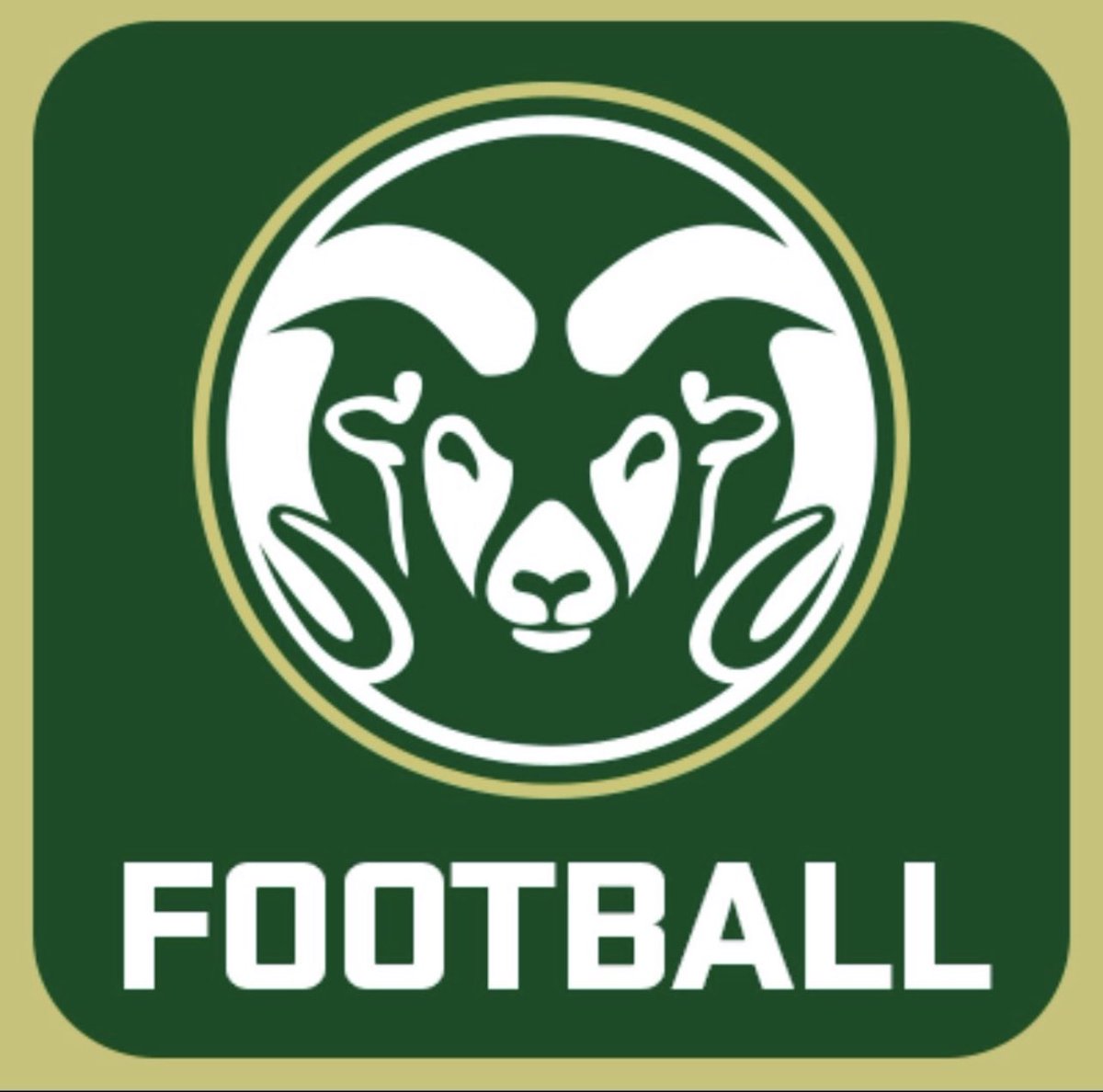 Michael Bareman tweet media