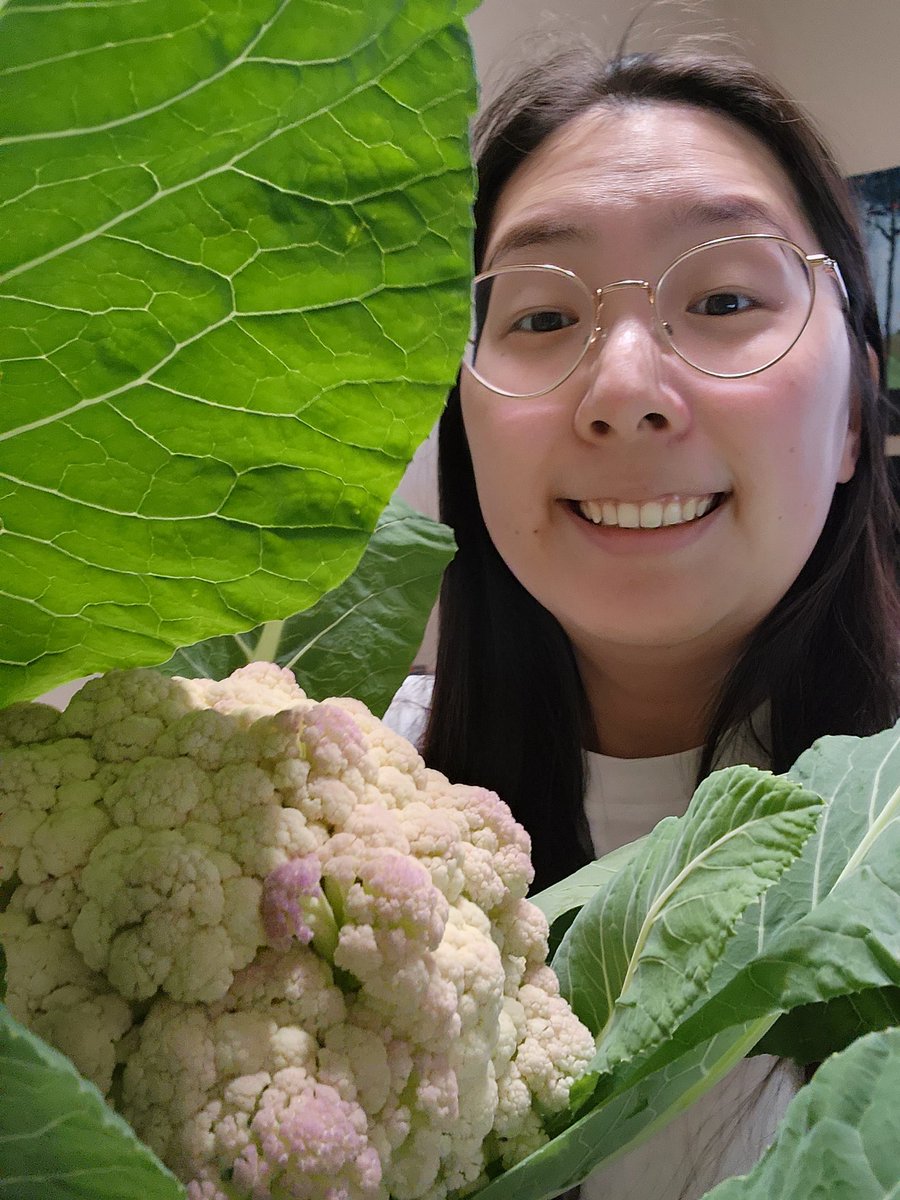 ️Yugina Yun ️ on Twitter "Also I grew this cauliflower so I just