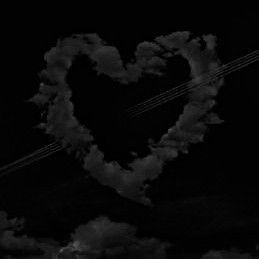 Maxi🐰 5SOS IS BACK tweet media