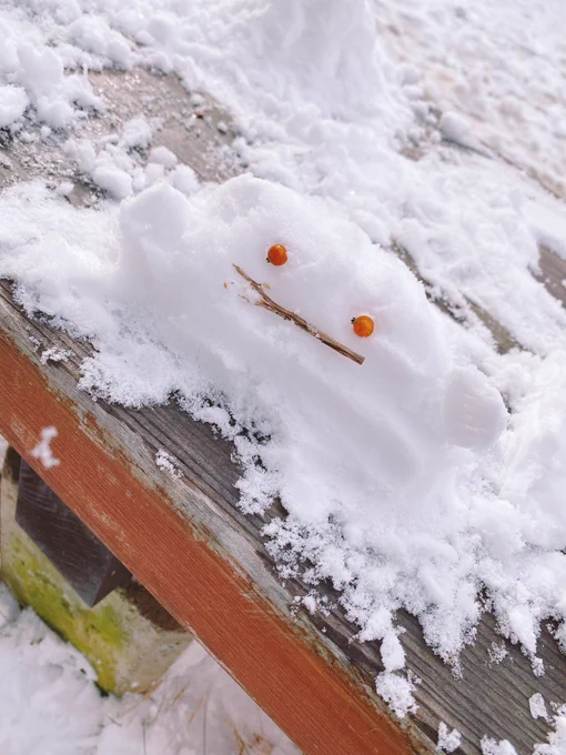 雪がさらさら過ぎてメタモンしか作れない 