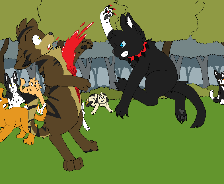 Moved to bsky tweet media