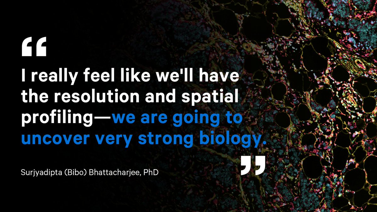 10xGenomics's tweet image. Why did Surjyadipta (Bibo) Bhattacharjee from @LSUHealthNO choose #visiumspatial? Read our blog to follow his journey from Human Genome Project enthusiast to a powerhouse postdoc working on drugs to alleviate #CNS diseases: 10xgen.com/3XC4GO3