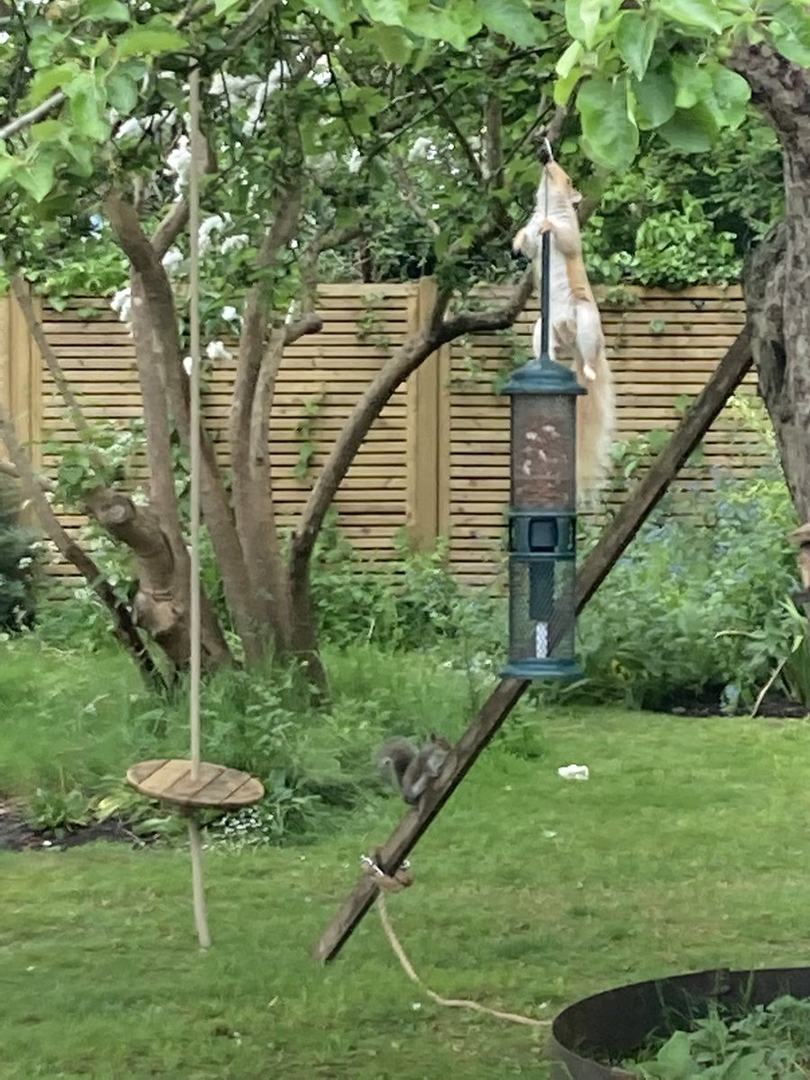 Jane Evans tweet media