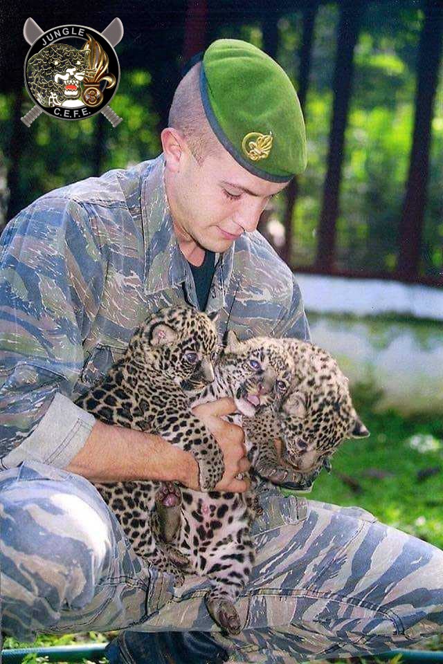 LaLegion's tweet photo. #Jaguar #Gepard #Leopard #CEFE #DBLE 🐆 https://t.co/xiZAjOMtuI