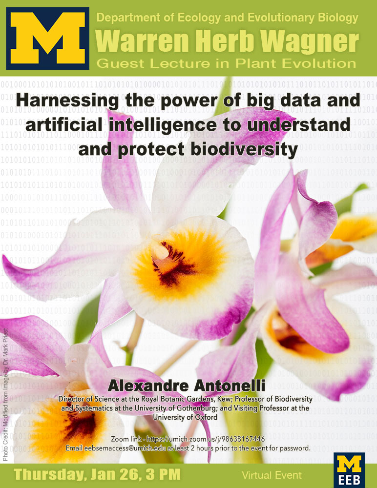 EEB Thursday Seminar, Wagner Lecture: Harnessing the power of big data and artificial intelligence to understand and protect biodiversity with
Alexandre Antonelli!
#eeb #biodiversity #goblue 
Thurs., Jan. 26, from 3:00-4:00 PM

lsa.umich.edu/eeb/news-event…