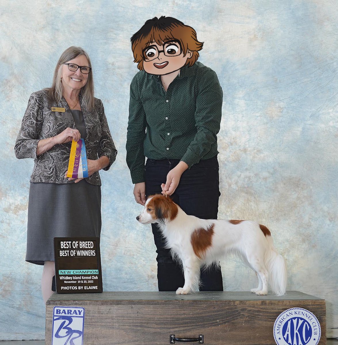 when you finish your first champion, all owner-handled, but you hate the way you look in the win photo🥴 

#kooikerhondje #DogsofTwittter